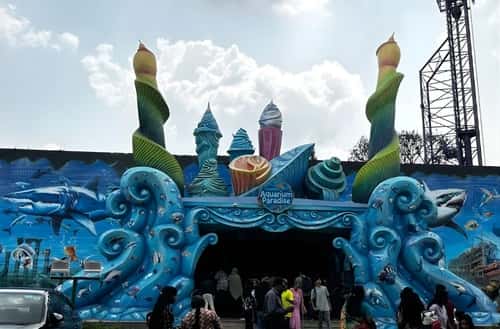 Aquarium Paradise: A Calm, Indoor Break After the Rides